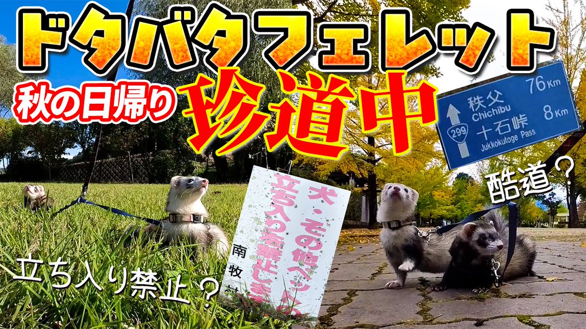 ピグレット様 ご相談 ピグレット様 ご相談 白ピグレット (@siro_piglet