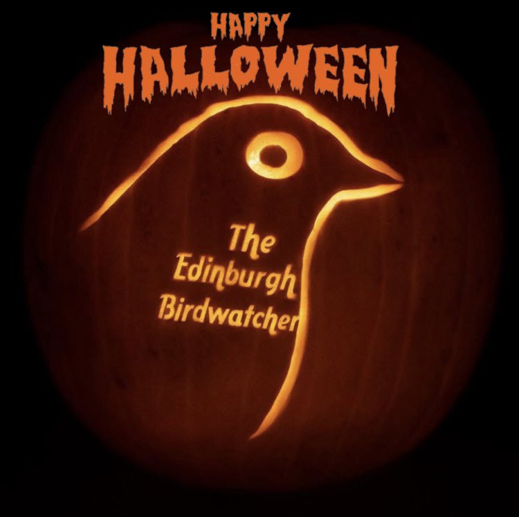 Wishing you all a spooky Happy Halloween 🎃