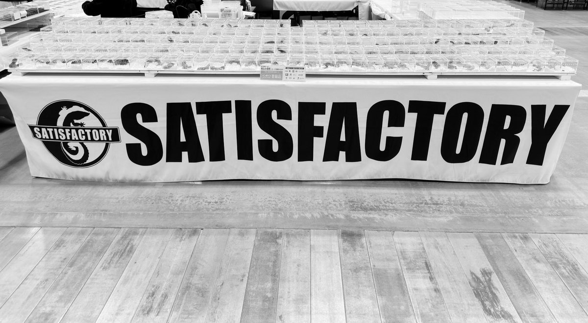 九レプ前日設営無事終了しました〜！！

明日から二日間よろしくお願いします🔥

22番ブースでお待ちしてます✨

是非遊びにきてください𓈊ˊ˗