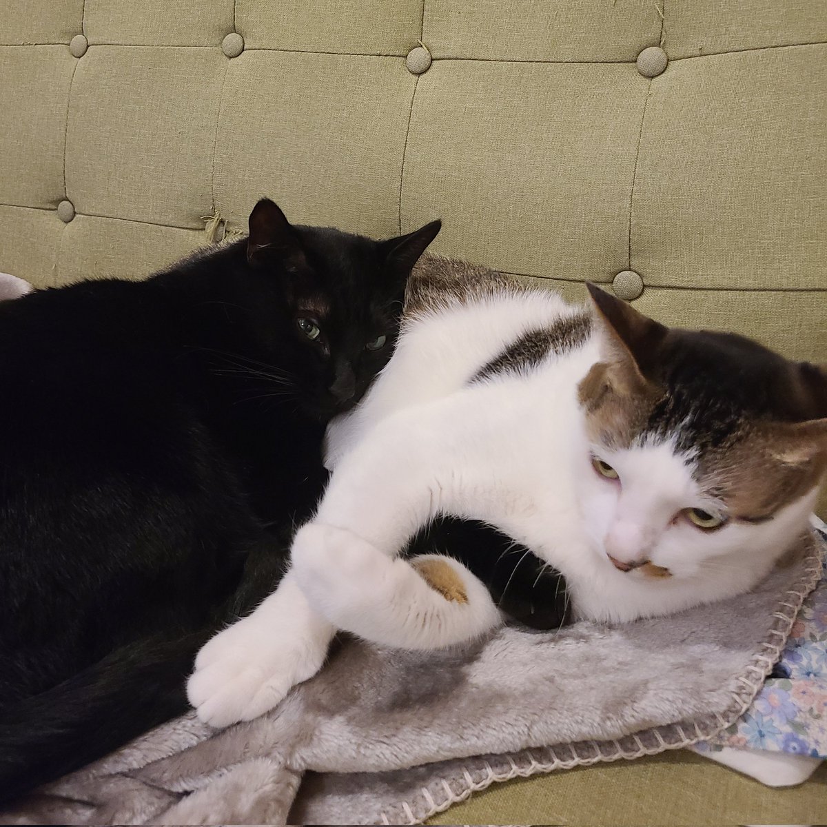 今日も仲良しなメンズ達