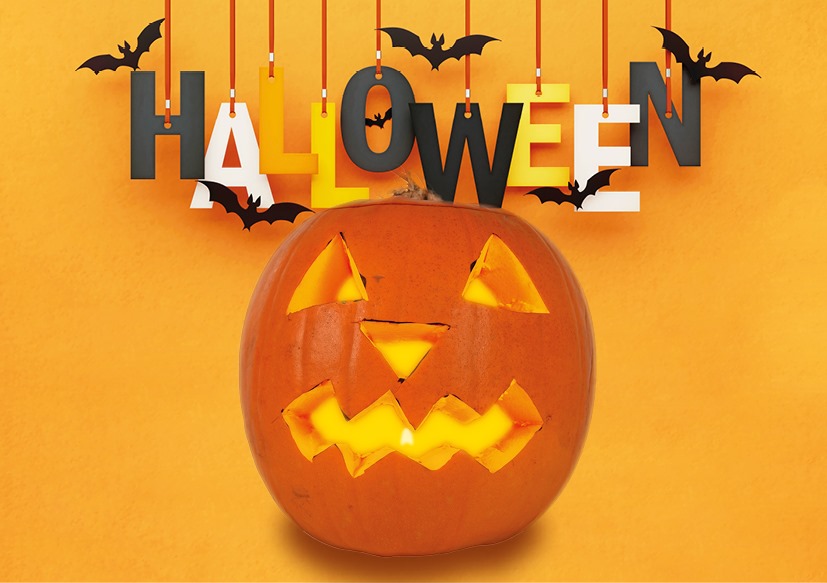 #SpookySeason: Boo! 👻 Willy's here to wish you a spooktacular Halloween!

He's celebrating in his new pumpkin hat! 🎃 Wishing you all a fang-tastic day! 👹👻

#Healthcare #Urology #Halloween #Spooky #FrightNight