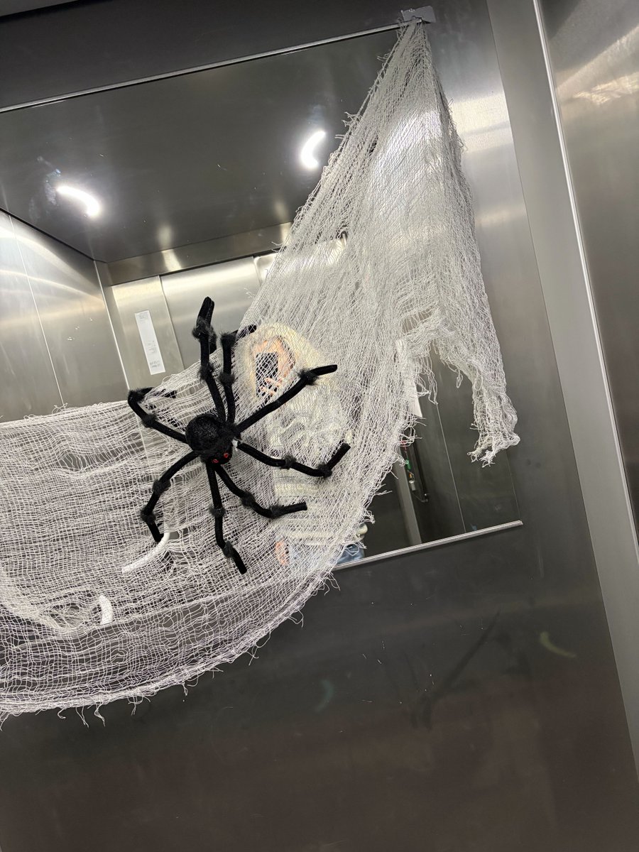 Happy Halloween from the RevWise team 🎃🕷️

Decorations: 10/10 💯
Jump scares: too many 👀
Halloween vibes: fully activated 👻

A little Halloween fun before things get really scary... Black Friday 👻💥

#AffiliateMarketing #DigitalMarketing