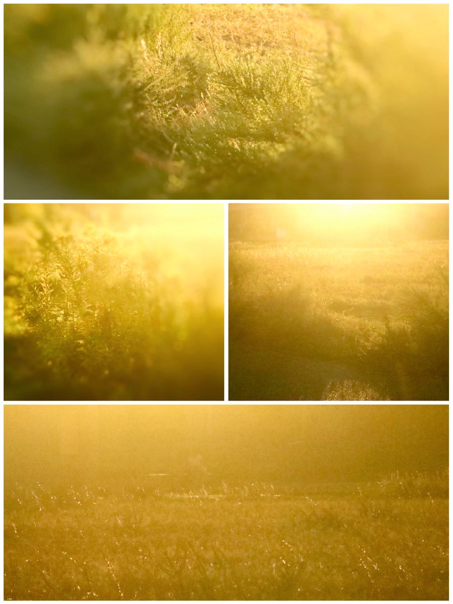 全て光に還る日まで