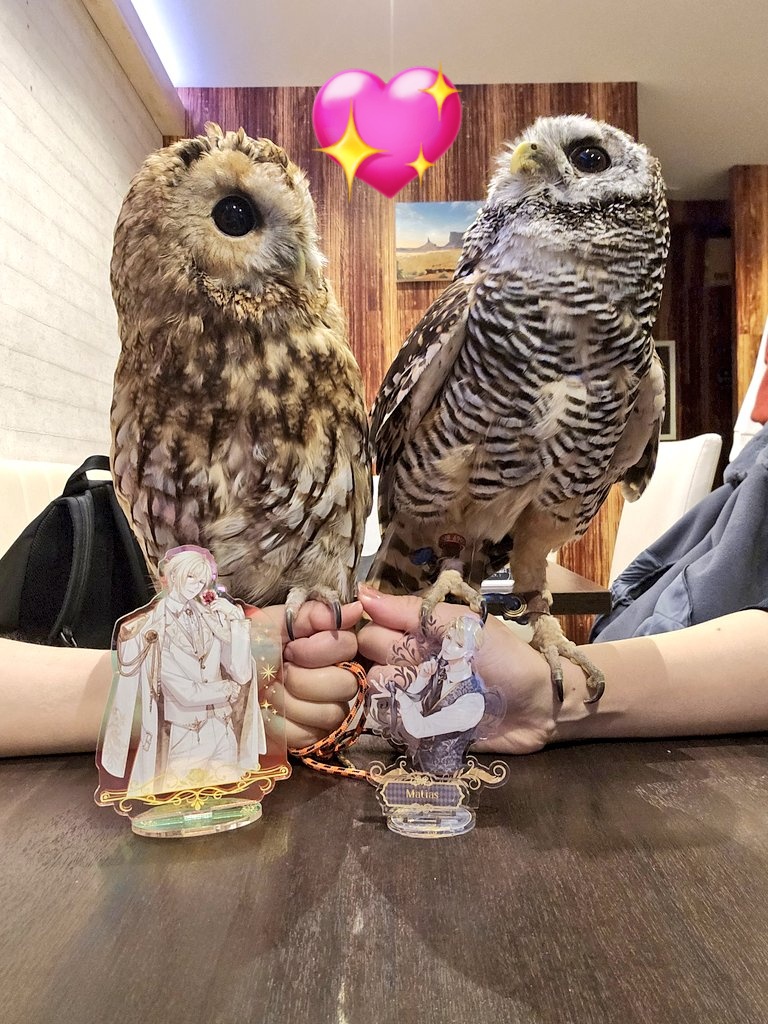 那由多🌸🌹 (@nayuta43nayu) / Posts / X