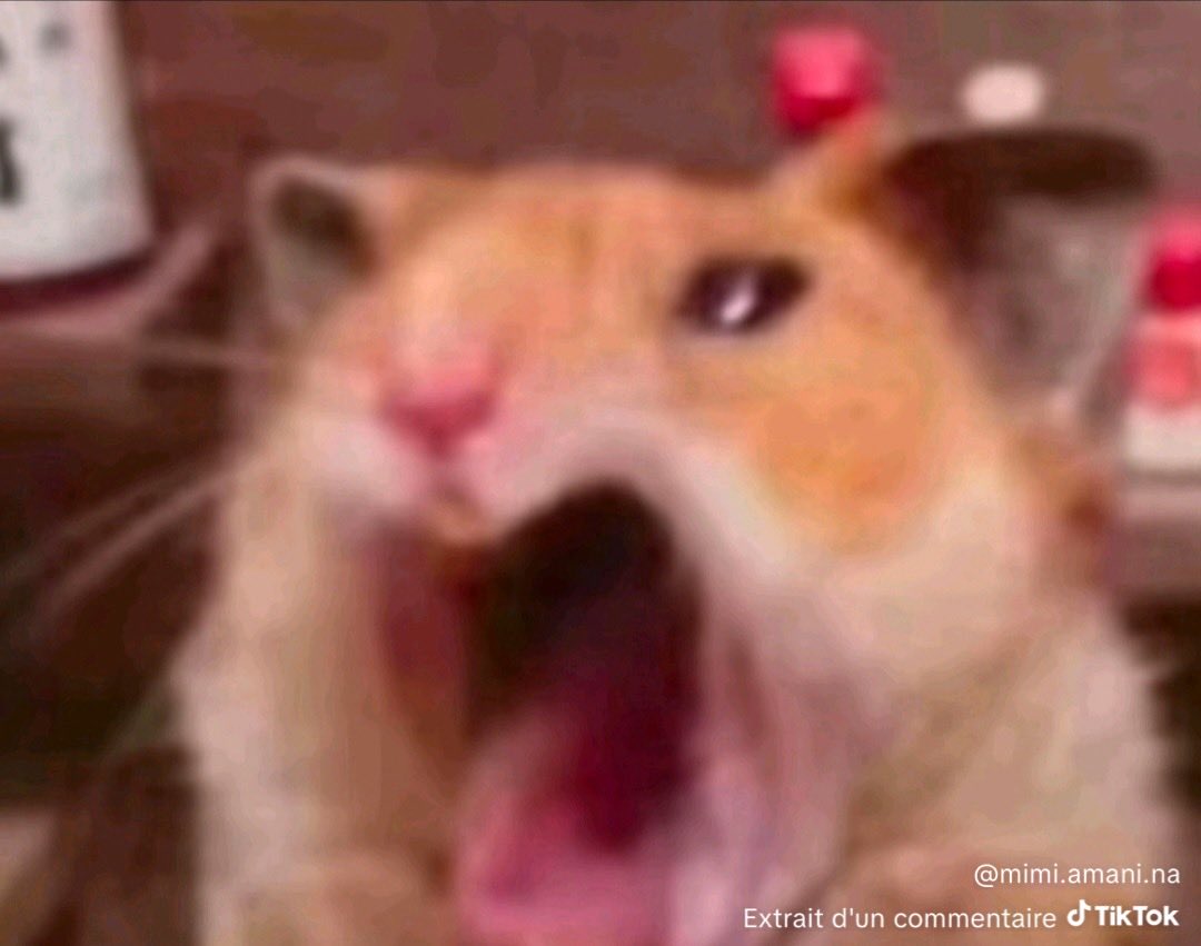 tefi 🇲🇬 tweet media