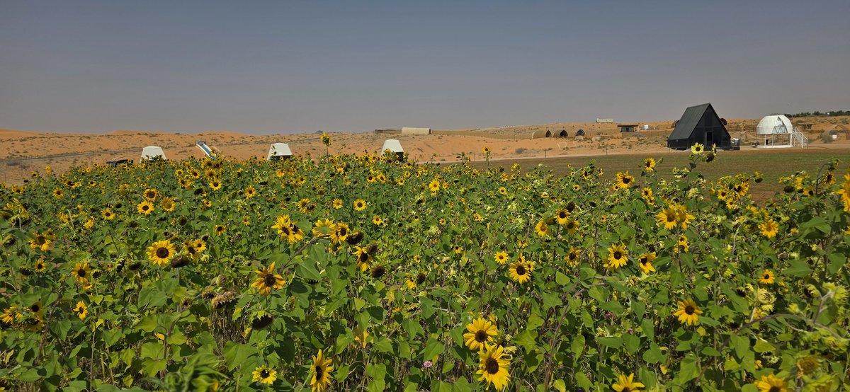 فهد الجبر tweet media