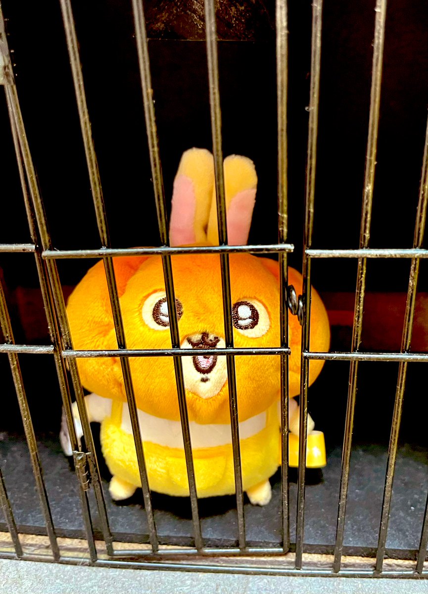 ゆー (@yukosu2525) / Posts / X