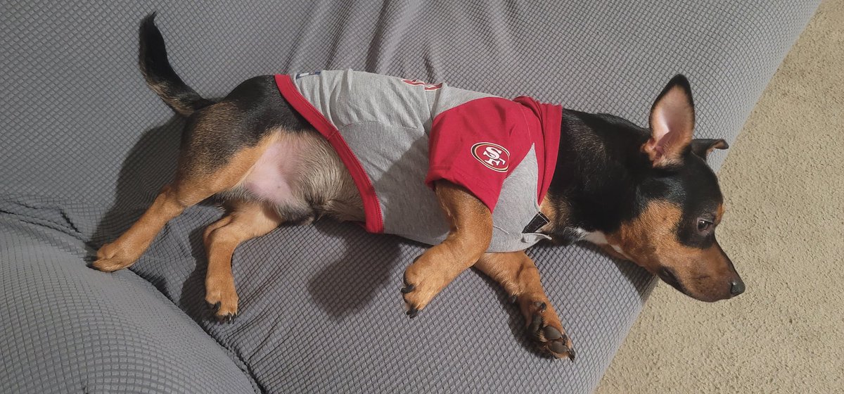 lisas_49ers's tweet image. When Mom is a @49ers fan!

#DoItForTheBay #FTTB #49ers  #TheeNinersFaithful #49ersfaithful #BangBangNinerGang