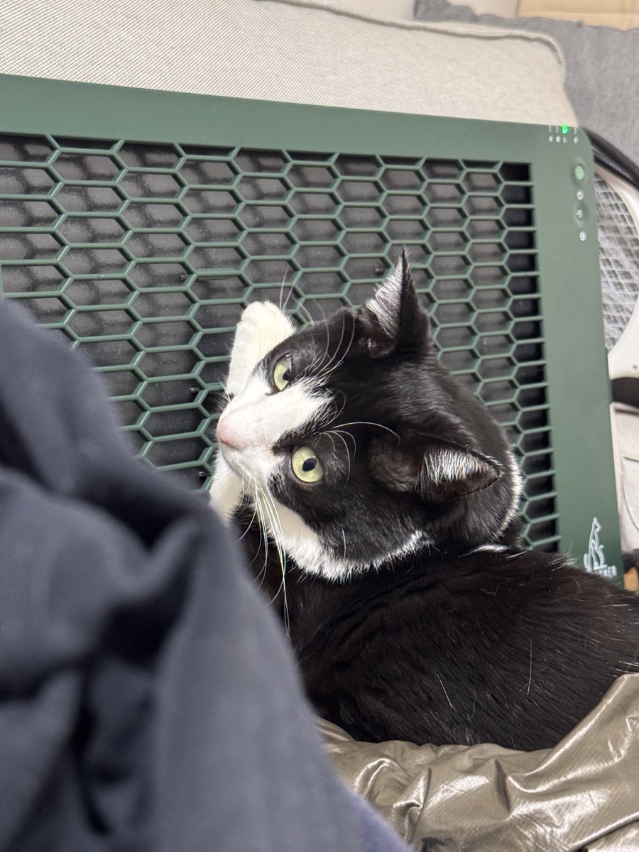 내가 전기장판을 개시햇으니 아갓시도 워머를 개시하셔야지