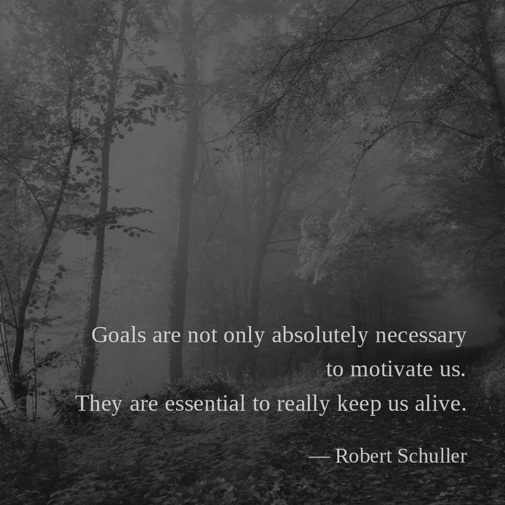 wectar's tweet image. Goals are not only absolutely necessary to motivate us. They are essential to really keep us alive. —Robert Schuller

#RobertSchuller #alive #necessary