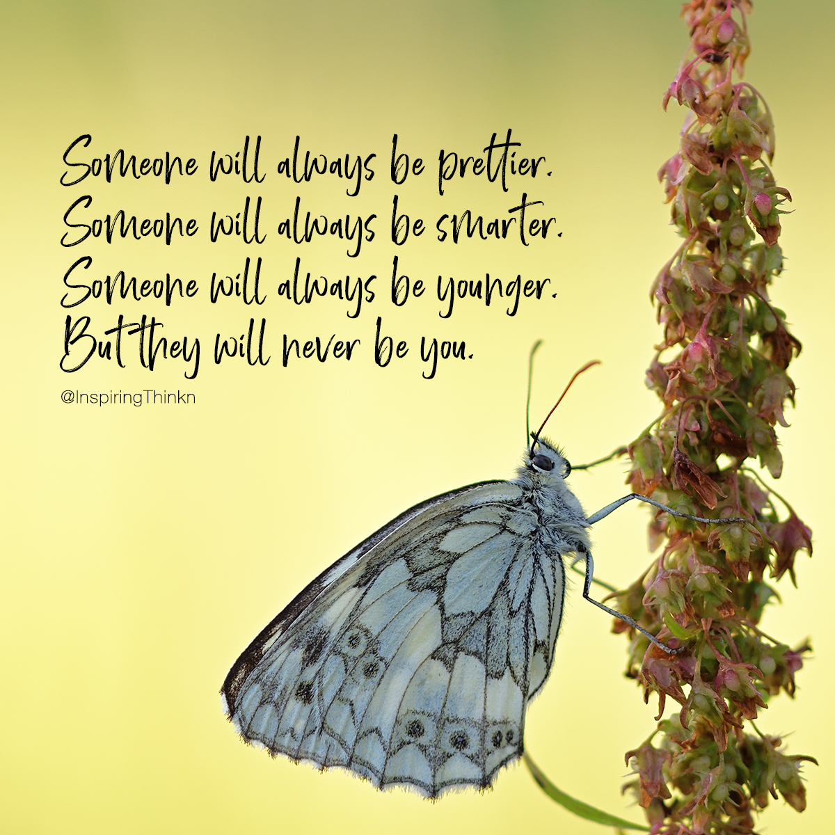 "Someone will always be prettier.
Someone will always be smarter.
Someone will always be younger.
But they will never be you."