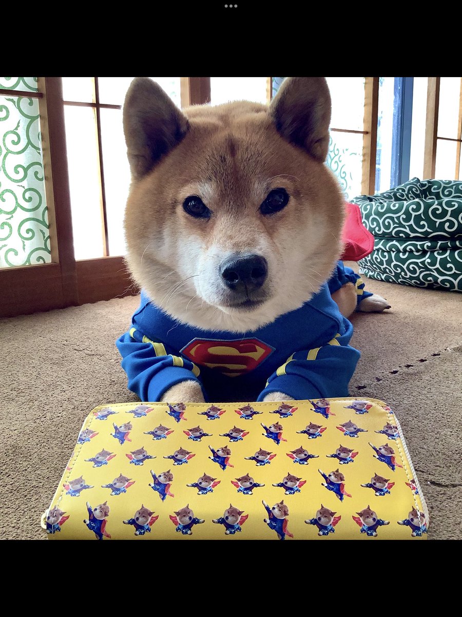 ぽっぽオーダー♡3ワンコちゃん♡ ぽっぽオーダー♡3ワンコちゃん♡ 菓