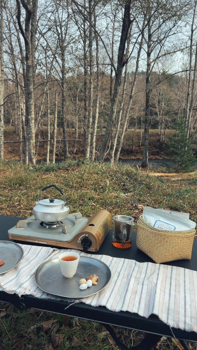 川のふちでのむお茶が、サウスさんの野生紅茶で、さらに幸せ。。。