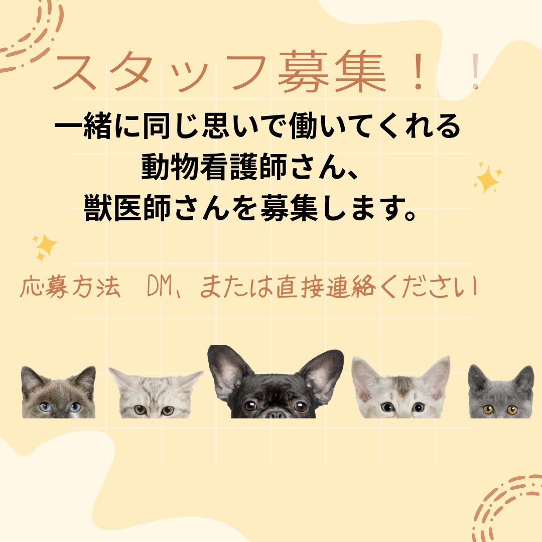 clover_ryu_2006's tweet photo. 一緒に働いてくれる仲間を募集中！ https://t.co/YgKWnMOpCz