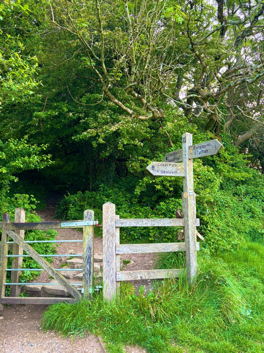 OurScapes's tweet image. Where ever you may be, have a great  #FingerpostFriday everyone 🚏🪧

@FingerPostFri 
@LoveOfGates 
#goldencap
#dorset