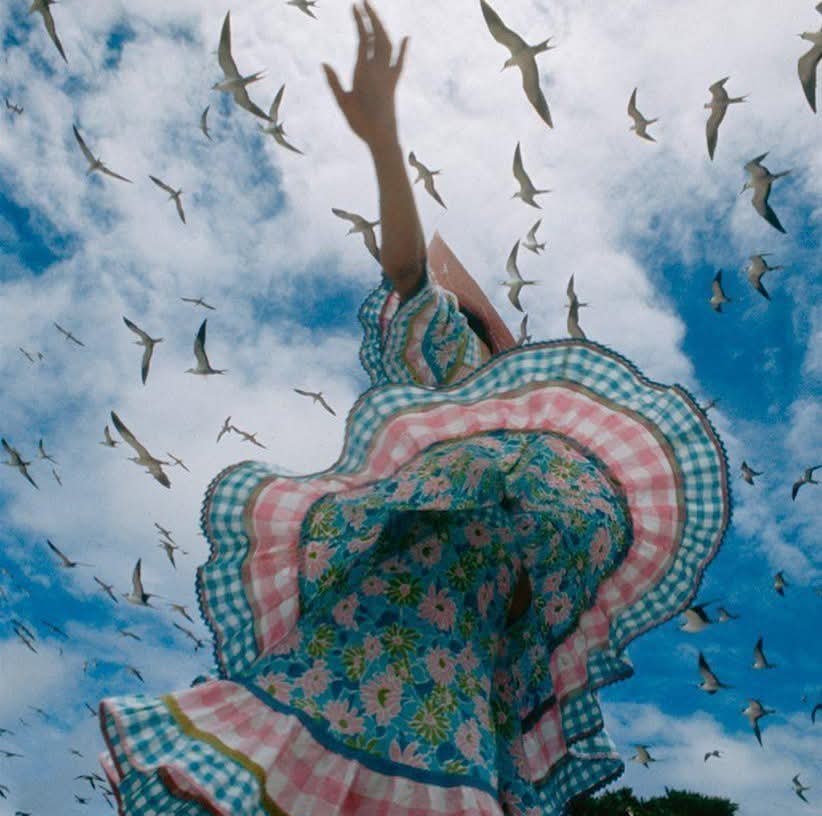 Bilirmisin kuşların hikayesini işte tamda hikayedeki gibi ;
Kuşların kalbiyle sevdim ben seni 
Bir gözyaşı damlasına ölür gibi ...🩵