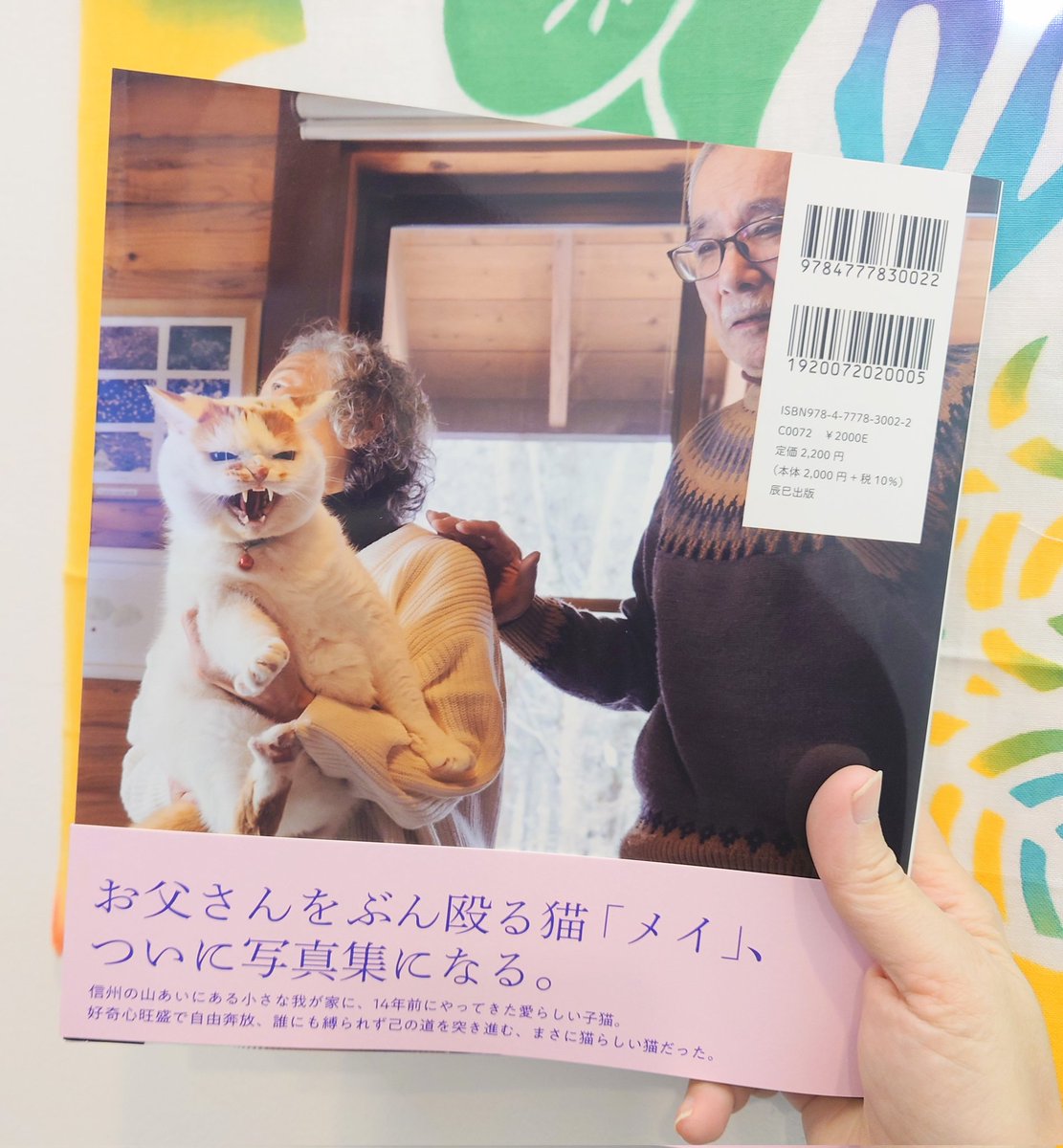 ❤️まーひこ様❤️ わぁ✨なんとなんと！！ ありがとうございます🥹✨