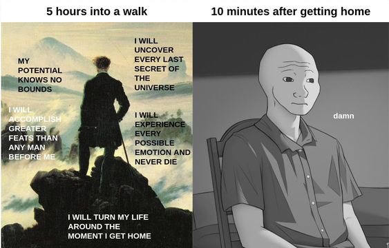 miniapeur's tweet image. 