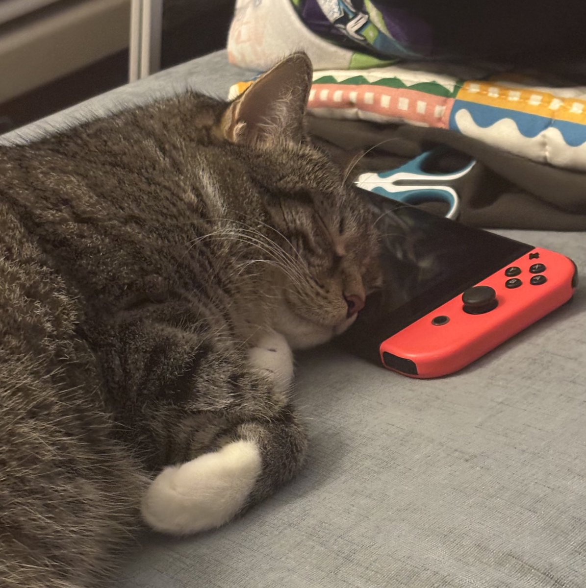 raspberrycat_'s tweet image. hi sory 4 not poasting .. fell sleep , a cuple times zzzz