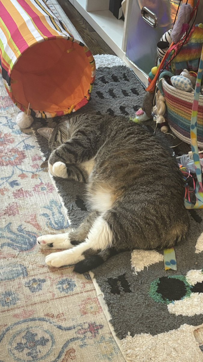 raspberrycat_'s tweet image. hi sory 4 not poasting .. fell sleep , a cuple times zzzz