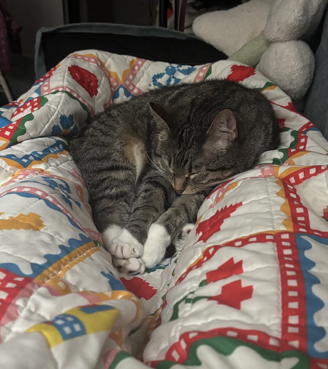 raspberrycat_'s tweet image. hi sory 4 not poasting .. fell sleep , a cuple times zzzz