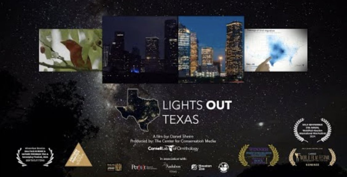LynHeideman9's tweet photo. ~1 billion birds die every year in NA in collisions with manmade structures. A statewide campaign of education and action, Lights Out, Texas! focuses on protecting the 2 billion migratory birds traveling  yearly through TX (35-min award-winning film): https://t.co/Vp5D24Q7wp. https://t.co/j2J4ycIID8