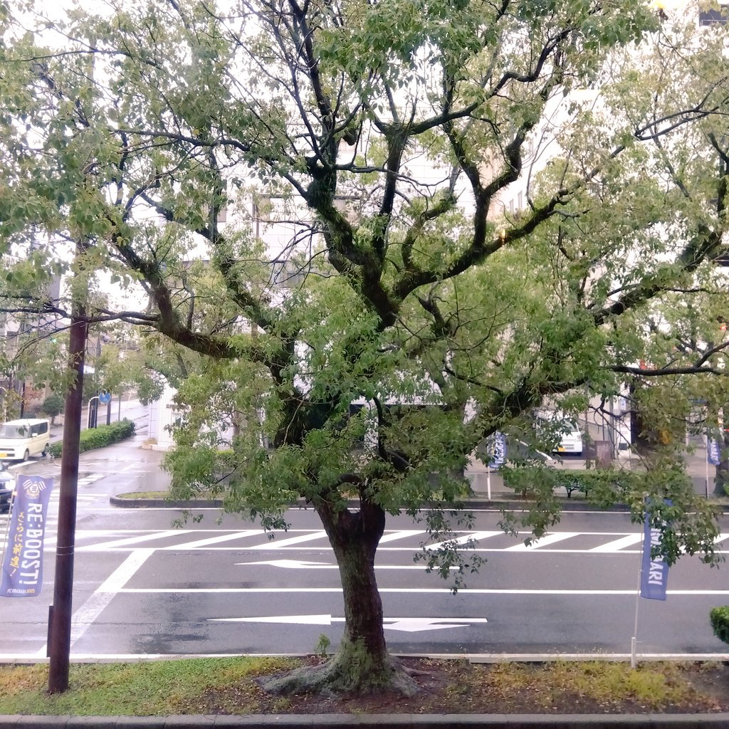 ap_noki's tweet image. ☆アポニー☆11月のお休み☆

毎週水曜日と第1第3火曜日定休日＋ハズミズム休暇。
4日(火) 、5日(水) 、8日(土)、12日(水) 、18日(火) 、19日(水) 、26日(水)

営業時間・10時→19時
(18時30分以降に来店予定の場合はご一報ください→0898-32-3807)
#今治 #珈琲 #ネルドリップ

駐車場は↓(続)