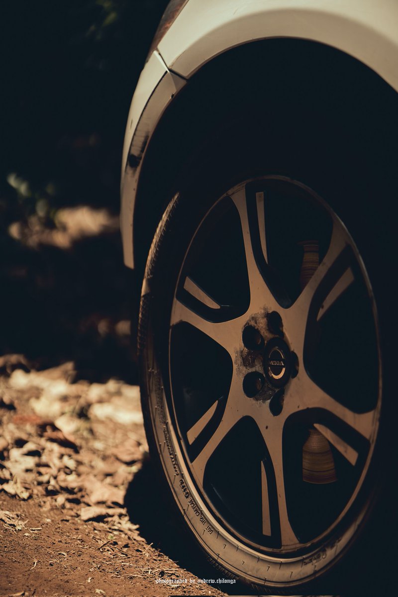 We was in the jungle Yesterday!