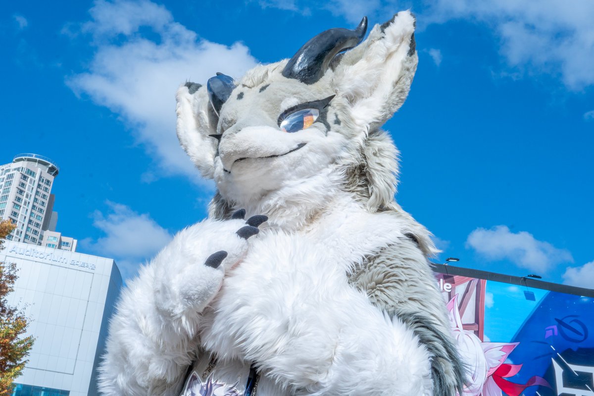 #FursuitFriday
(대충 성장하는 만화 주인공 구도)🐉✨🐲