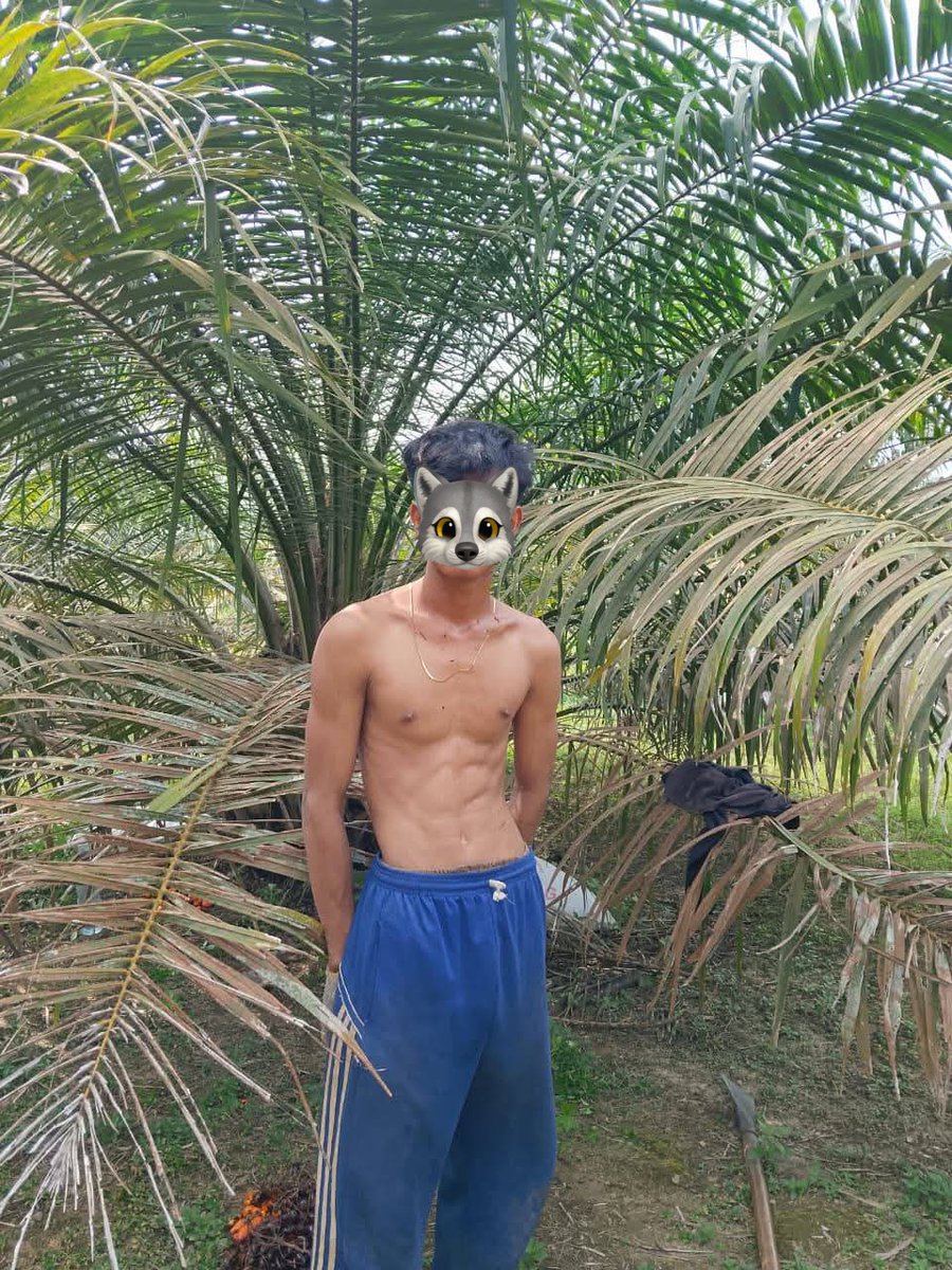 ploks_plok's tweet photo. #altertagum  maayong hapon https://t.co/dNTLhol16A