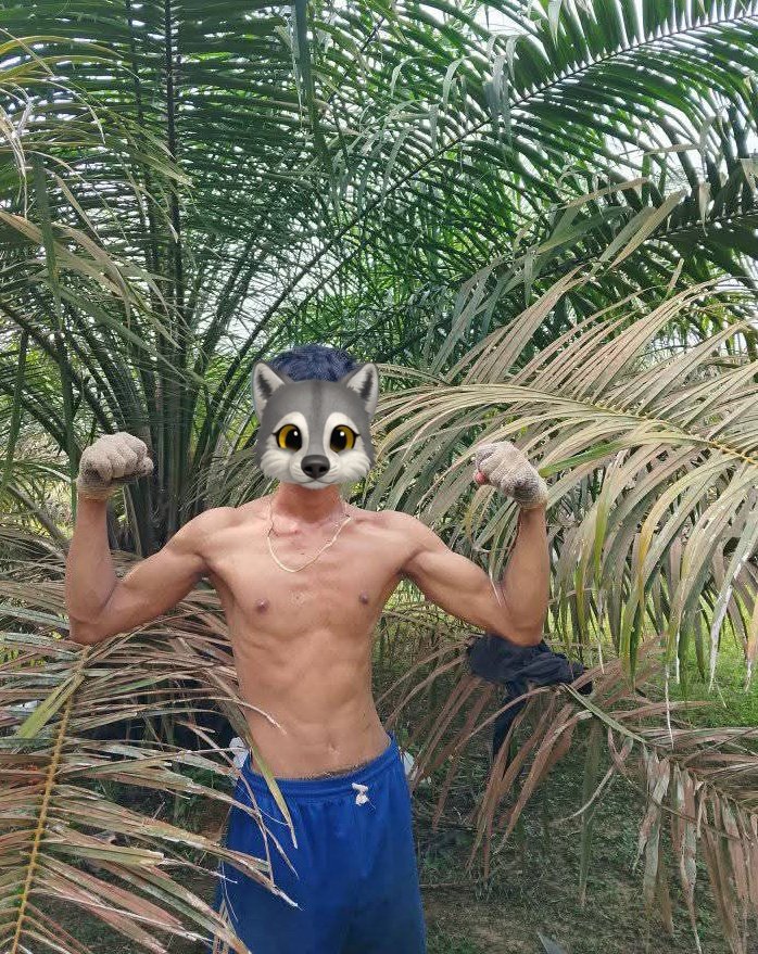 ploks_plok's tweet photo. #altertagum  maayong hapon https://t.co/dNTLhol16A
