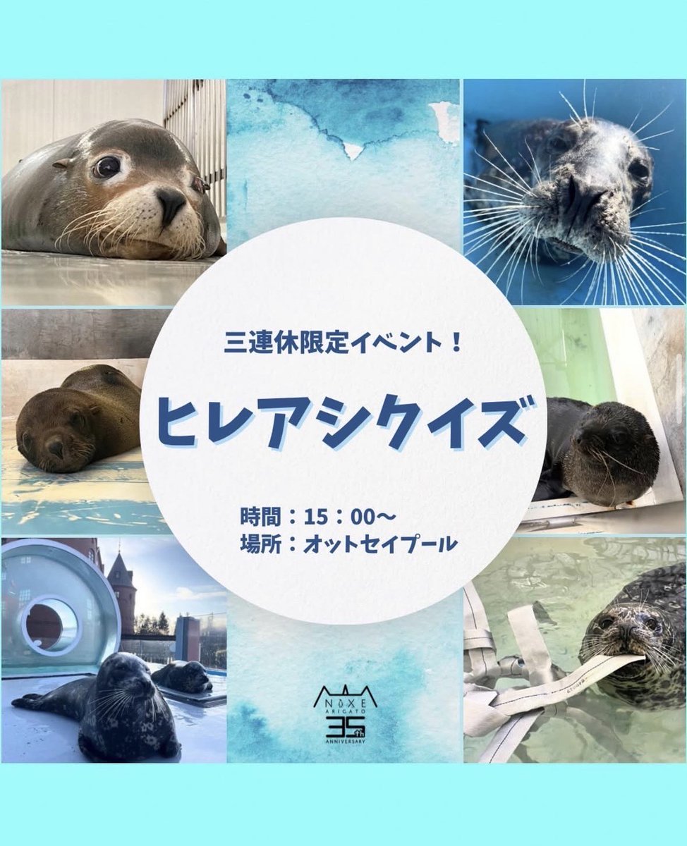 11月のヒレアシイベントについて

11月1日(土)～11月3日(月)の三連休限定で「ヒレアシクイズ！」を実行します！クイズに正解するとプレゼントがもらえるよ！

#登別マリンパークニクス