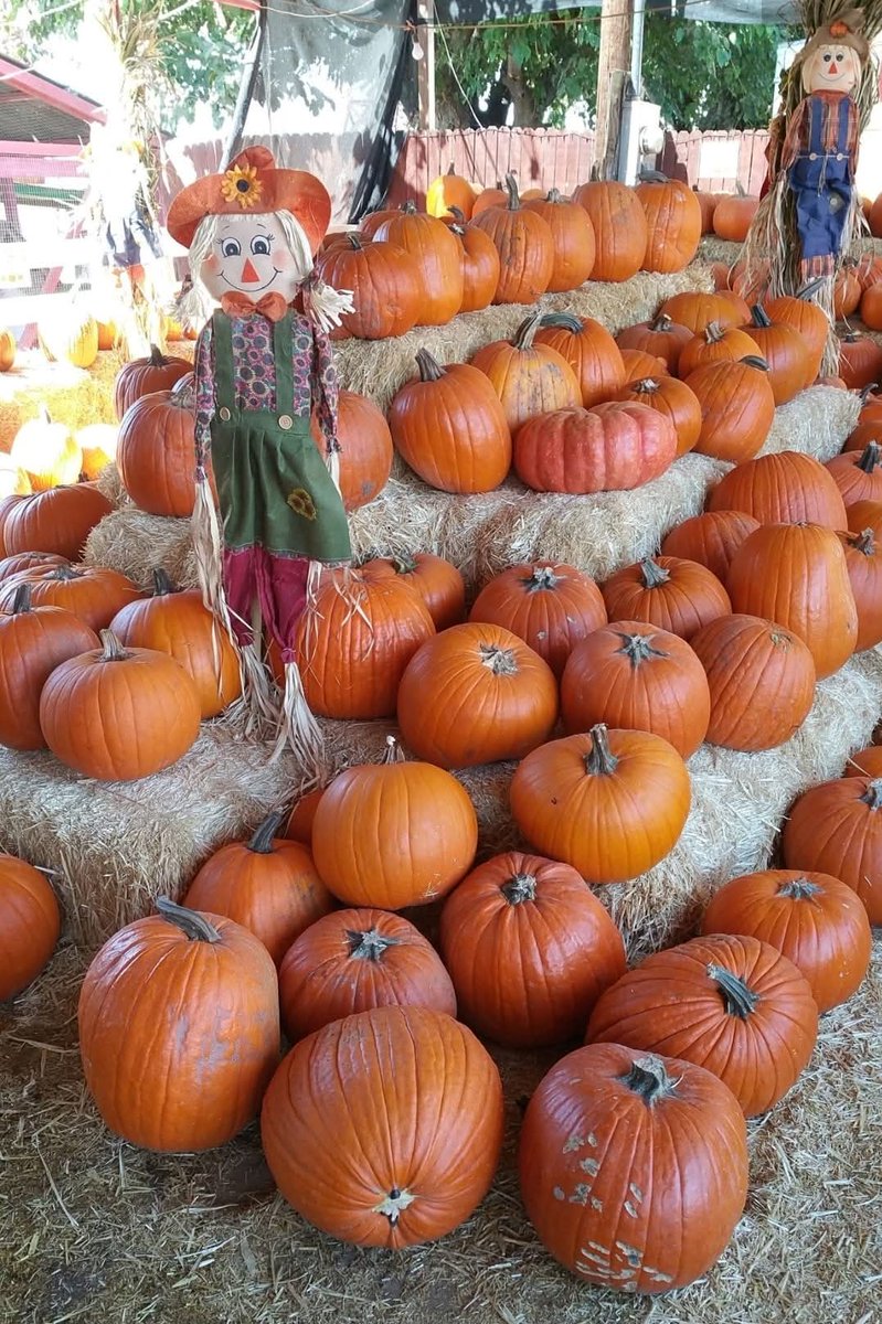Happy Halloween 2025.
