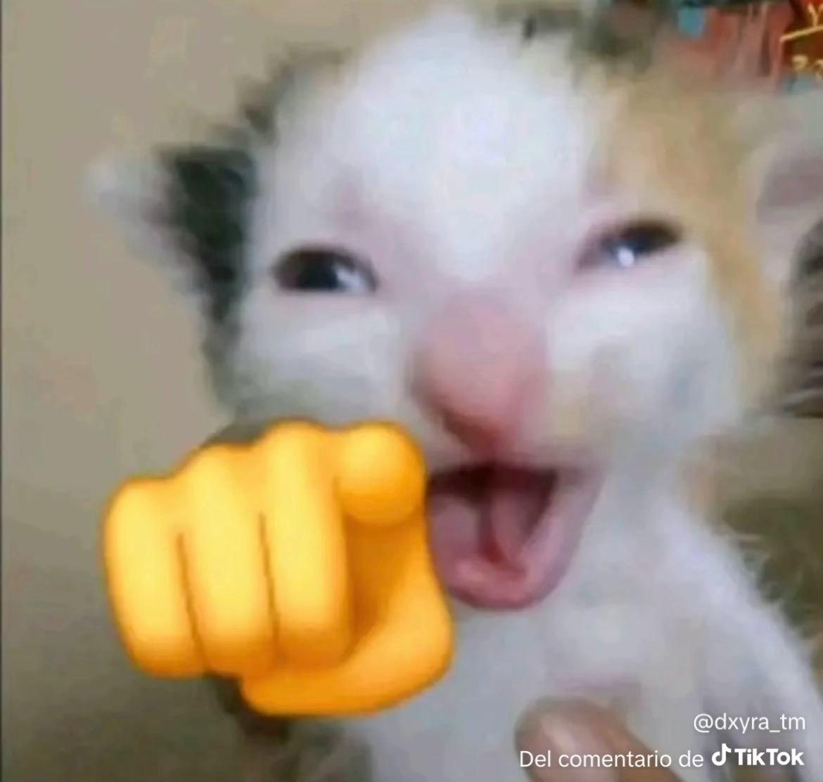 armangamer357's tweet photo. @Fernandojose294 https://t.co/cFSciGD3wJ