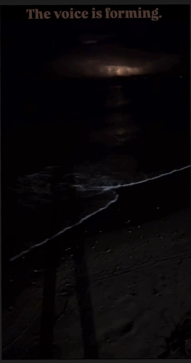 Project121111's tweet image. The voice is forming… 31 October 2025 #Tunisie #Project12