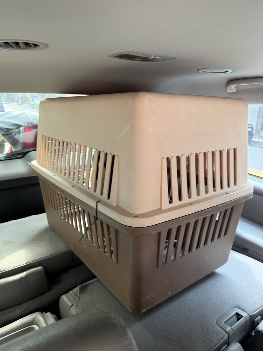 동물권행동 카라 노동조합🕯️ tweet media