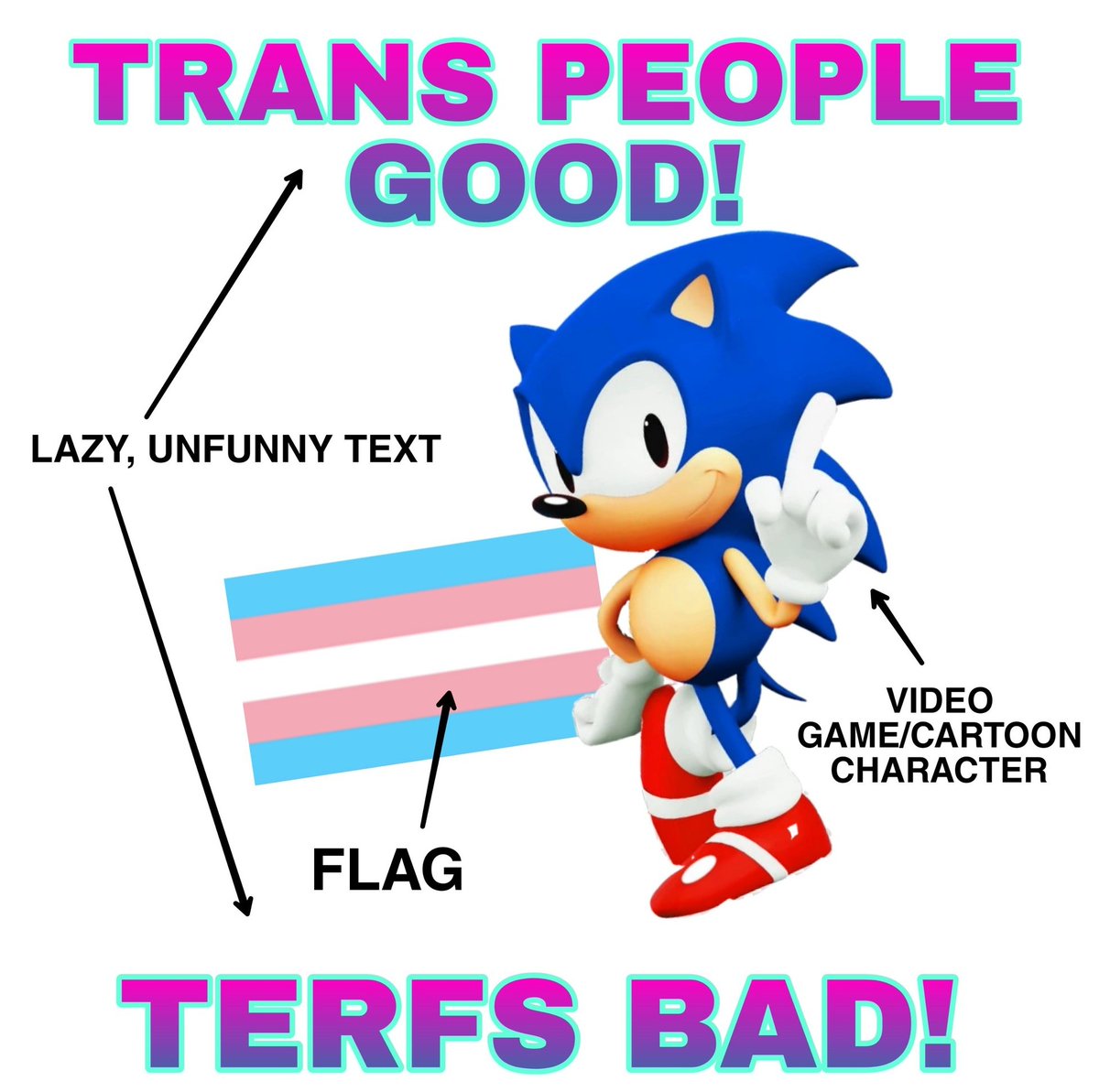 quasar196's tweet photo. What rights don't they have? 

They choose to interpret their discomfort as "gender dysphoria."  
They choose to pump themselves full of sterilization drugs.  
They choose to "identify as" a "marginalized group."  
They choose to use it as a shield for violent and unhinged behavior.  
They choose to ban or cut off anyone with valid concerns that it may not be the right choice.  
They choose to force everyone to speak in ways they don't want to.  
They choose to wear how people were born like blackface.  
They choose to advocate for imprisoning those who call them what they are.  
They choose to blame us for their own suicidality.  
They choose to demand we deny our own eyes so they can continue living in a false reality.  
They choose to try and take people's own children away.  
They choose to try to get to kids early so they have another loyal member.  
They choose to treat us as inhuman while telling us to have empathy.  
They choose to break their family's hearts.  
They choose to side with loonies on the internet over that family.  
And they choose to do the harm that radicalizes everyone against them.

None of these are rights. And I don't think Sonic would support these things either.