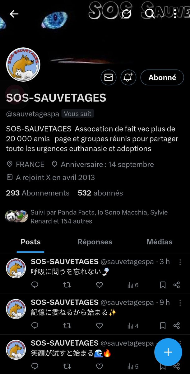 dalilamm49's tweet photo. ATTENTION  LA PAGE DE SOS-SAUVETAGES  A ÉTÉ  PIRATÉ  A TOUS LES ABONNÉS  QUITTÉ  CETTE PAGE https://t.co/7kRYhOzpVg