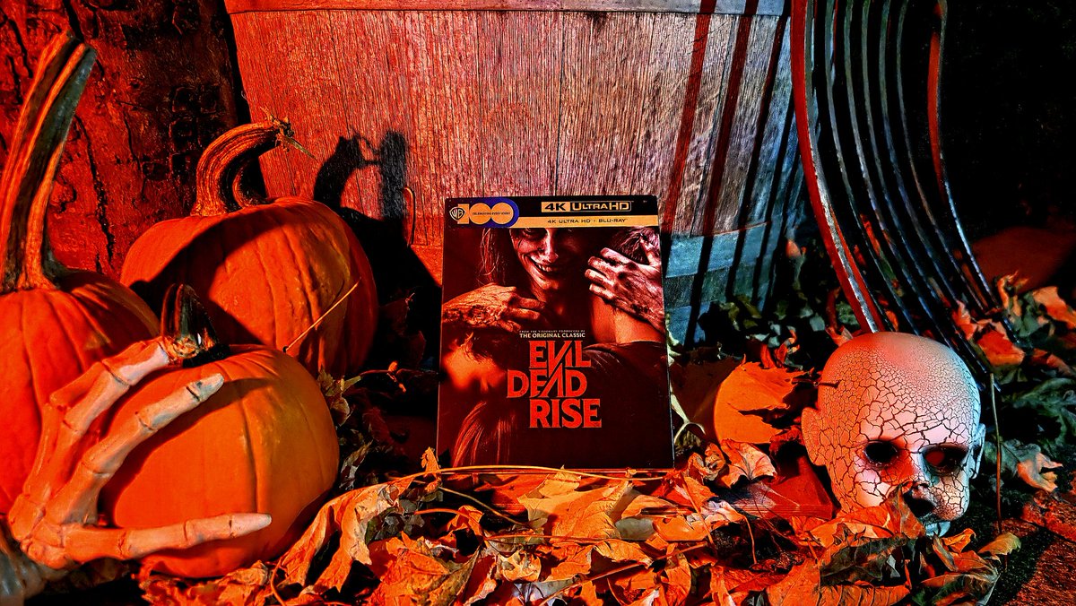 🎃🍂Road To Halloween XI🍂🎃
🎃👻Festival Of Terror💀🎃

- Movie #30 - Evil Dead Rise (2023)

- Directed By: Lee Cronin

- Starring: Lily Sullivan, Gabrielle Echols, Morgan Davies, Nell Fisher, Mark Mitchinson, Bruce Campbell &amp; Alyssa Sutherland