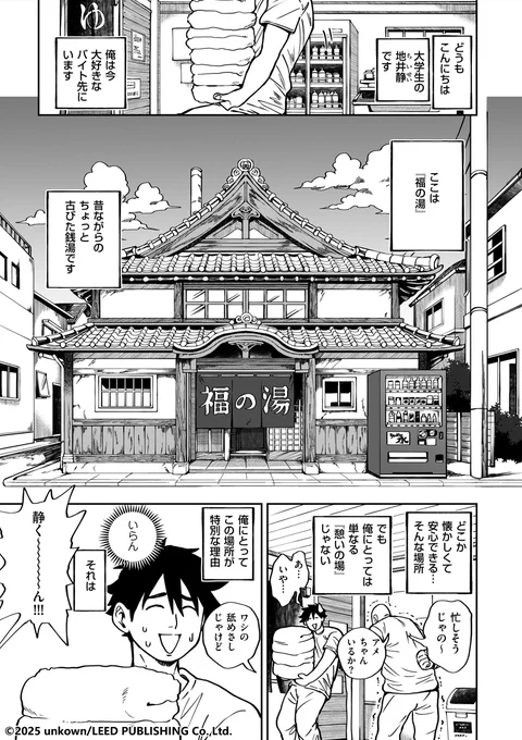 暗ノ吽先生(@unknown00830)の新連載『小せぇ恋にも「福」来る』がスタートしました! 掲載は11月1日発売のクリベロン DUMA最新号。チビで童貞の大学生が爆乳ヒロインに恋する物語です! 