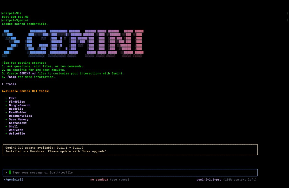 Gemini is cool in CLI.