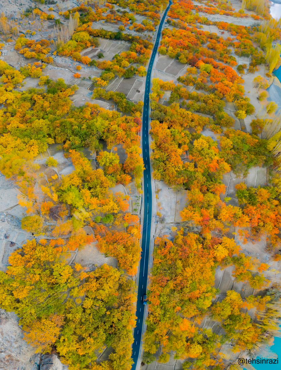 IqrarAlee112's tweet image. میرے وطن میں خزاں اترنے لگی ہے، درختوں کے پتے سنہری، سرخ اور نارنجی رنگوں میں ڈھل کر گویا زمین پر رنگوں کی چادر بچھا رہے ہیں۔ قدرت نا یہ عظیم شاہکار دل و دماغ کو محوِ حیرت کر دیتا ہے۔
#Skardu #Baltistan