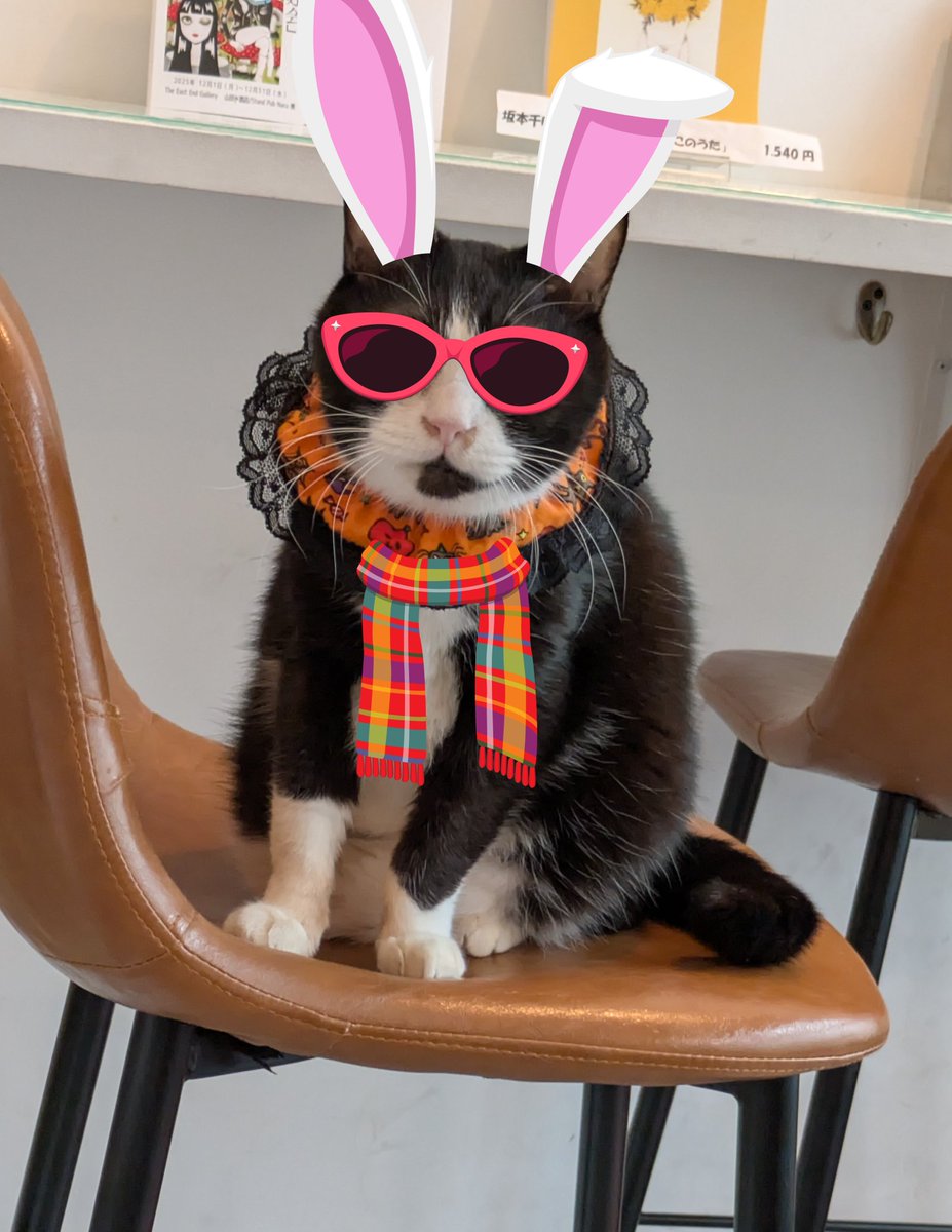 ねこ Gallery éf Asakusa on X