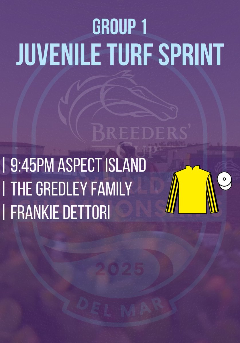 Breeders’ Cup Runner: