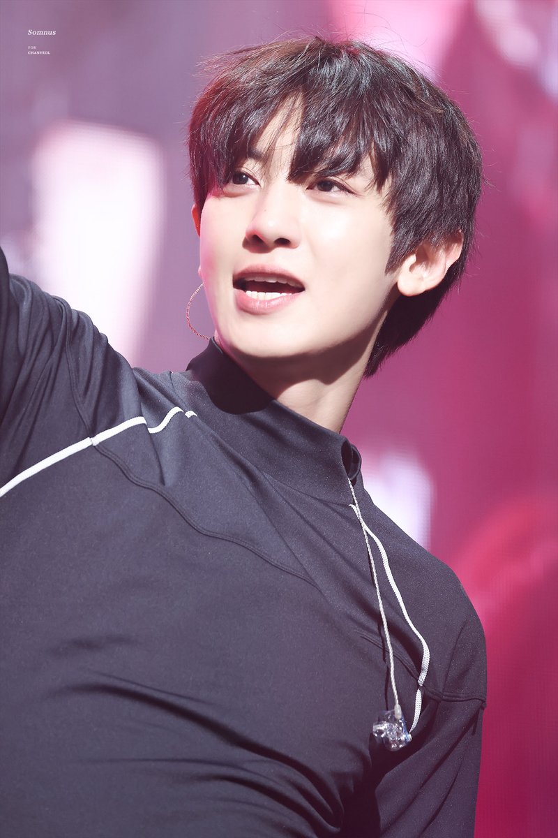 HIBI THE GOAT tweet media