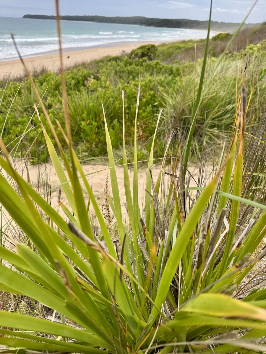 Friday best my friends 👏🏻