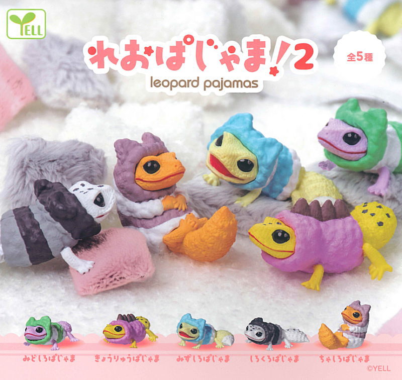 ⭐︎テディベアさん専用⭐︎ zukke ⭐︎10/25-11/9DearBear目黒店 (@zukke100) / Posts / X