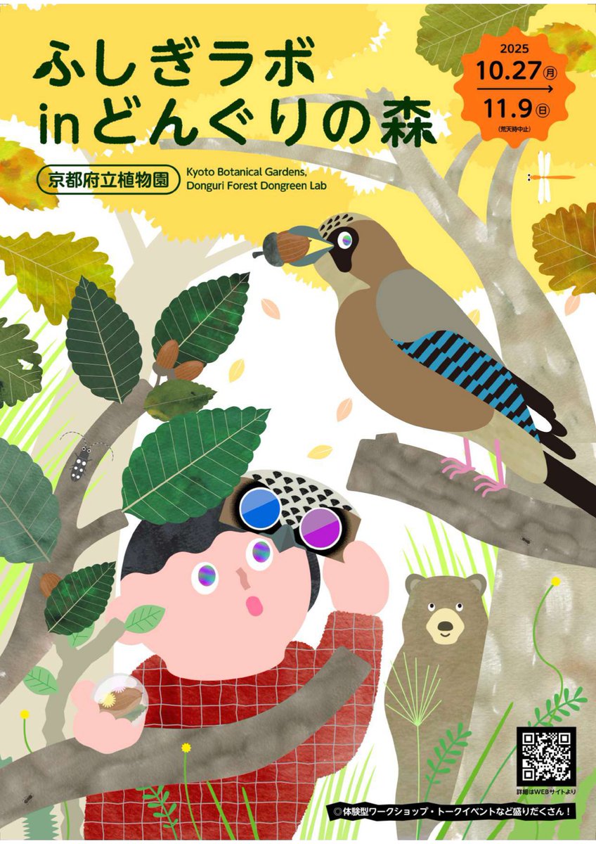 どんぐりページ どんぐりの呼び名事典 拾って楽しむ | 宮国 晋一 |本 | 通販 | Amazon