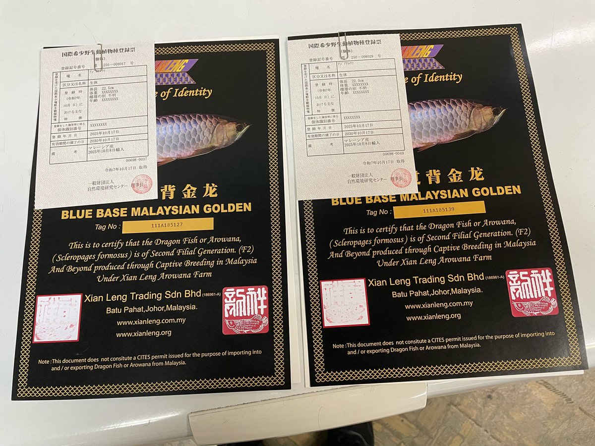 【さかなまん】 楽天市場】＼在庫限りのセール／［TST］[SK006]おさかな