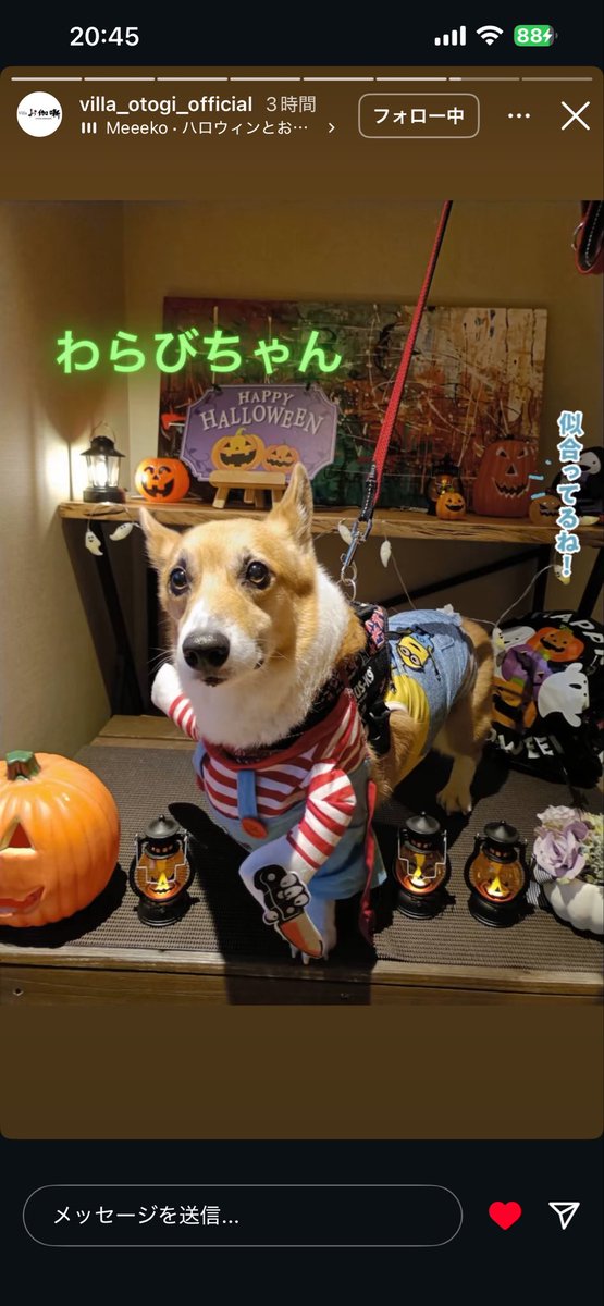 ほんでい👑齢三十一写狂人卍 on X